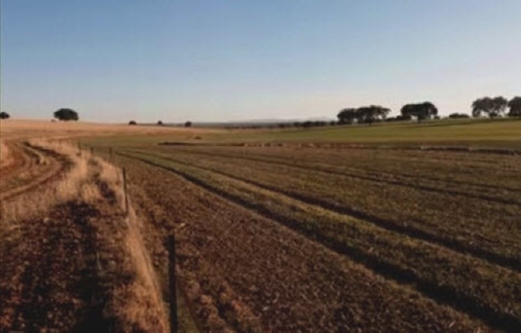 tasación terreno herencia Sevilla