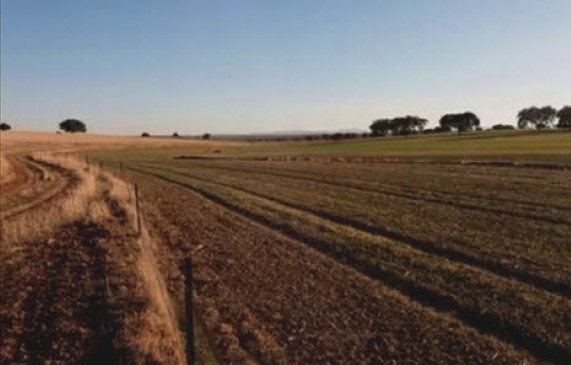 tasación terreno herencia Valencia