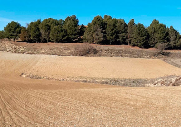 tasación terreno separación