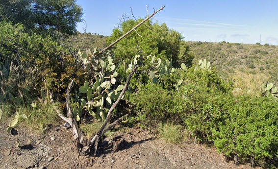 tasación solar rustico Las Palmas de Gran Canaria