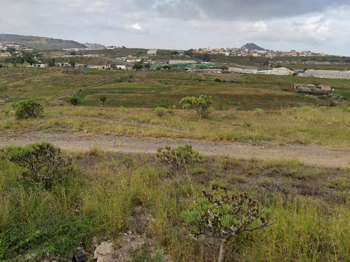 tasación terreno Las Palmas de Gran Canaria