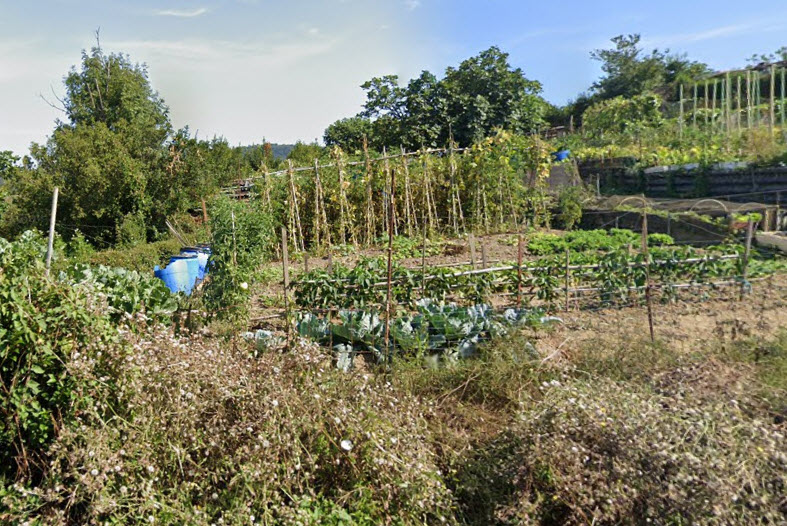 tasación terreno rustico Guipuzcoa - Gipuzkoa